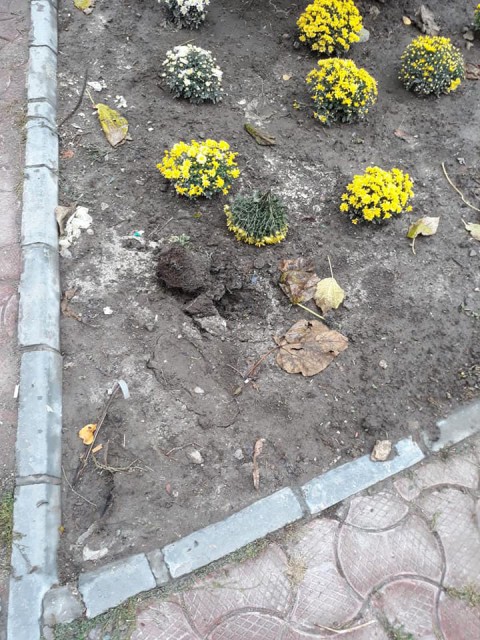 Primarul din Hârșova va propune înăsprirea amenzilor pentru vandalism