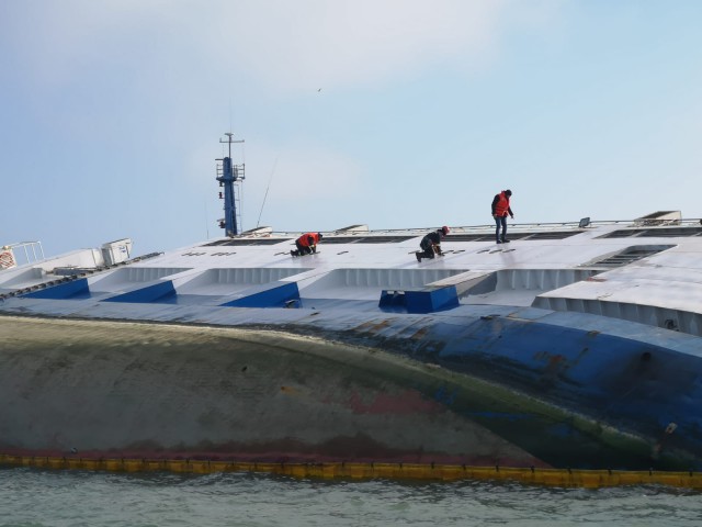 Noul șef al ANSVSA participă la acțiunea de salvare a oilor de pe nava scufundată din Portul Midia