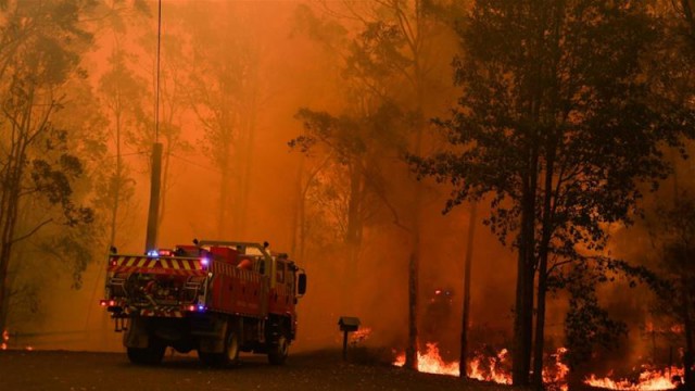 Asigurările au de plată aproape o jumătate de miliard de dolari după incendiile din Australia