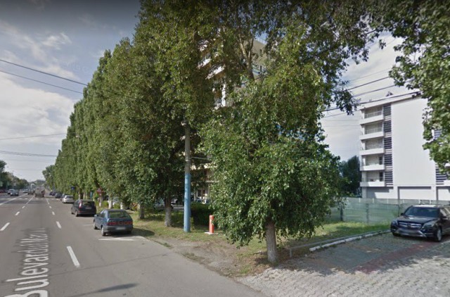 MAMAIA: Spațiu verde de pe malul lacului Siutghiol, propus spre vânzare!