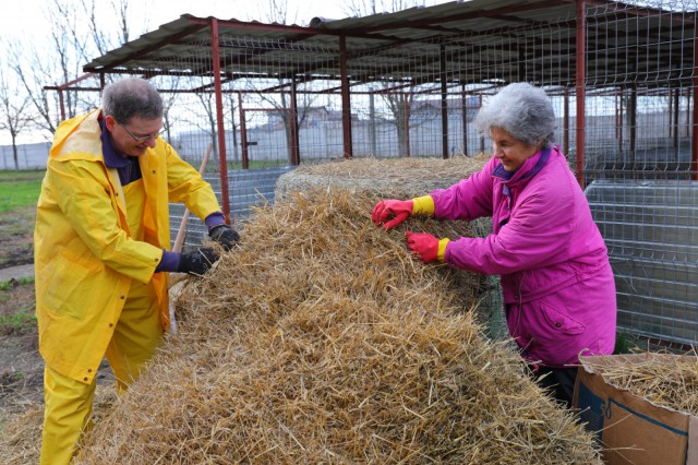 Voluntari din Germania la Adăpostul pentru Animale Fără Stăpân din Constanța