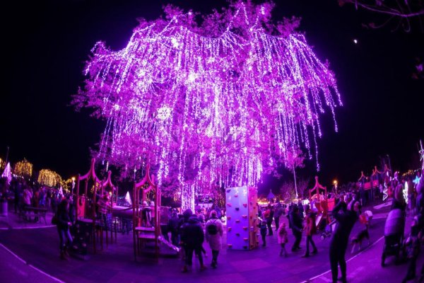 Zile magice la Festivalul Iernii din Constanța: iată programul în Parcul Tăbăcărie!