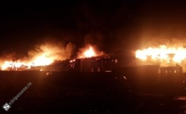 Incendiu de proporții în Buzău: sute de animale au murit