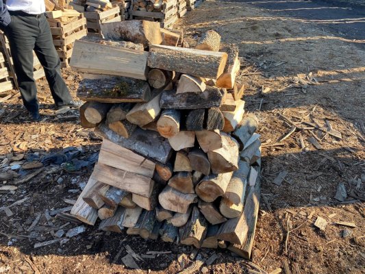 Primăria Cernavodă începe distribuirea banilor de lemne