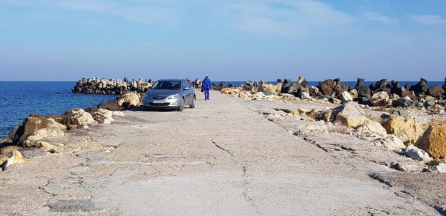 Bizoni pe dig, în weekend, la Constanţa!