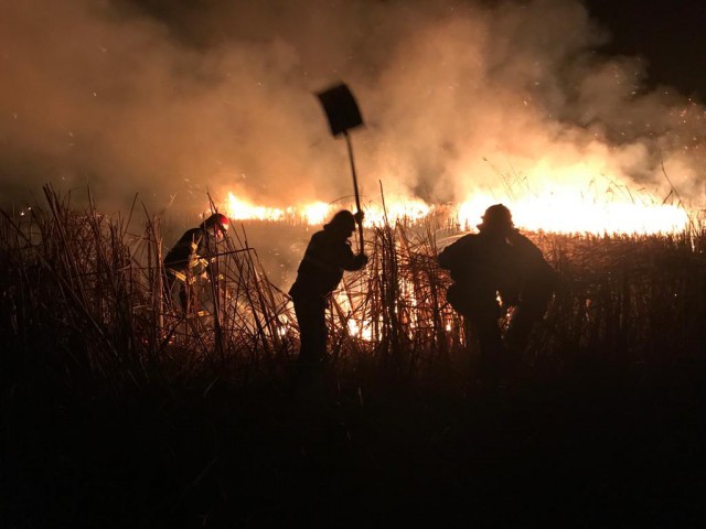 Incendiu de vegetație! Casele din apropiere au fost în pericol