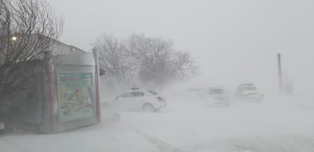 VIDEO! A NINS ABUNDENT la CONSTANȚA