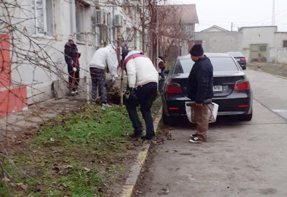 Zona CET din Constanța, IGIENIZATĂ!