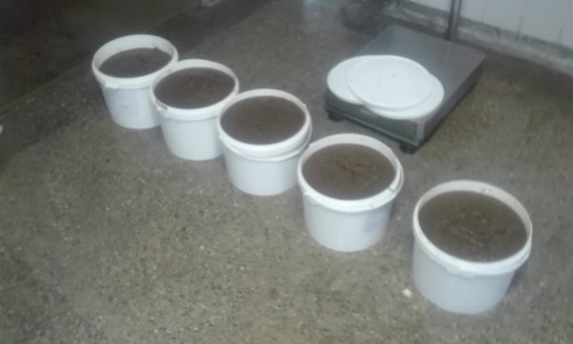 Icre transportate fără documente legale, confiscate