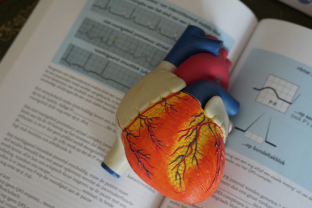 Reducerea colesterolului scade riscul de boli cardiovasculare