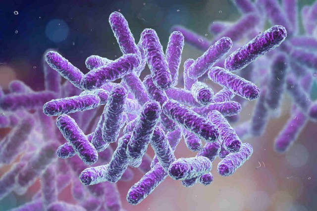 Microbiomul - noua țintă în terapia cancerului