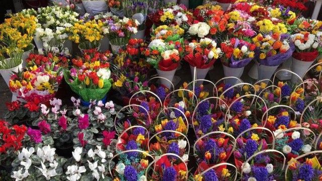 Afaceri de aproximativ 100 de milioane de lei pentru comercianţii de flori, în perioada 1-8 martie
