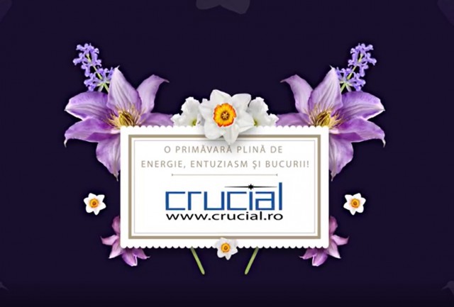 Crucial Systems vă urează o primăvară frumoasă!