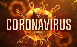 Veste bombă a experților: Coronavirusul NU a apărut în piaţa de pește din Wuhan