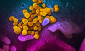 Numărul cazurilor de coronavirus explodează în Europa - Situație gravă în Italia și Germania