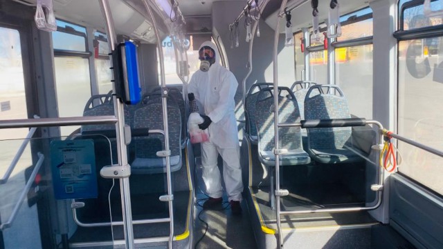 Autobuzele CT BUS, dezinfectate