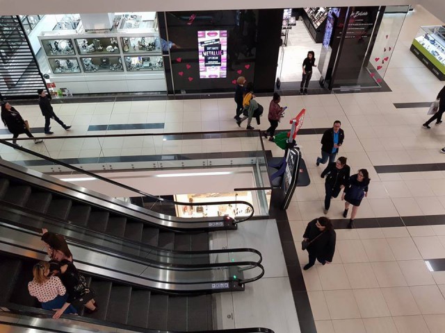 Senat - Comisia economică: Dialogul Guvern - retaileri - mall-uri, soluţia pentru redeschidere şi situaţia chiriilor
