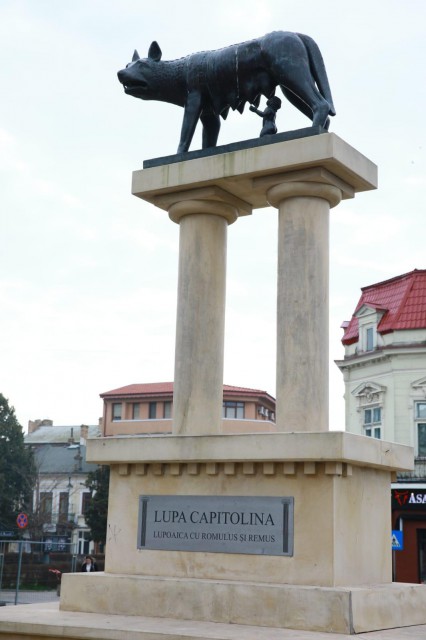 Primăria Constanța: Romulus și Remus sunt în siguranță!