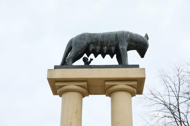 Primăria Constanța: Romulus și Remus sunt în siguranță!