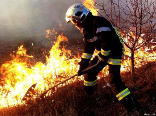 Incendiu de vegetație uscată, pe DN22