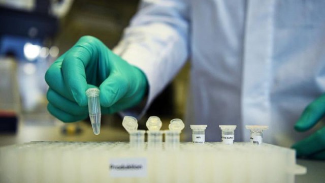 Coronavirus: Rusia a început testarea prototipurilor de vaccin pe animale
