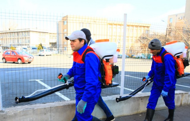 Platformele de gunoi, dezinfectate cu substanţe pe bază de clor