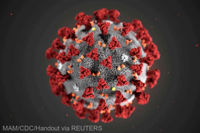 Coronavirus: China raportează 31 de noi cazuri şi 4 decese