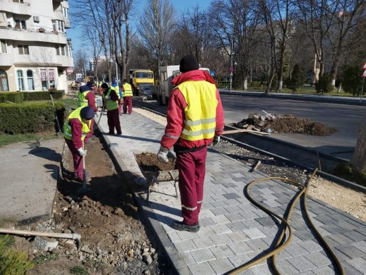 Căi amenajate pentru circulația bicicletelor pe bulevardul Tomis