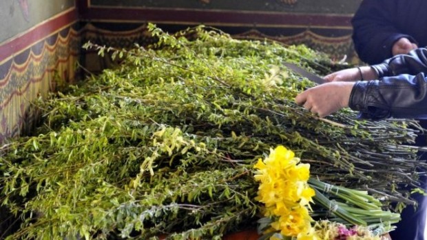 Liderii politici transmit mesaje de speranţă şi sănătate cu ocazia Paştelui Catolic şi Floriilor