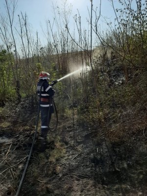 Incendiu la o solă de grâu în județul Constanța