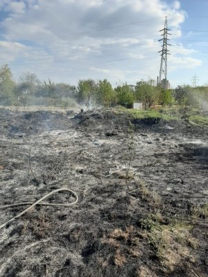Primăria Cernavodă: Este interzisă arderea miriștilor sau a vegetației ierboase, fără supraveghere atentă