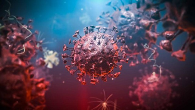 Cercetătorii germani au stabilit cât timp rezistă virusul SARS-CoV-2 în corpul pacienților decedați