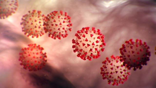 Savanții au descoperit că noul coronavirus are aproape 200 de mutații