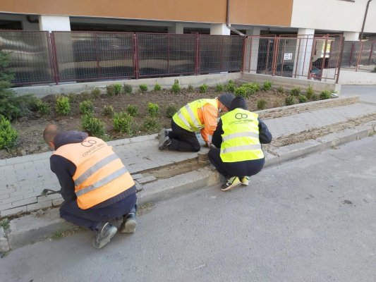 Primăria Constanța reabilitează arterele rutiere secundare din cartierul Faleză Sud