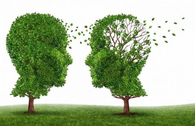 Boala Alzheimer – cauze, manifestări, factori de risc