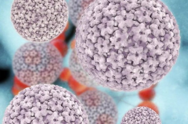 Virusul HPV și impactul acestuia asupra sănătății
