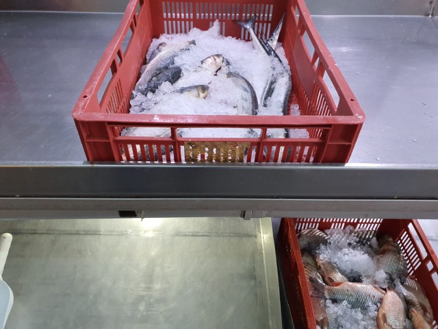 ATENŢIE, constănţeni, ce cumpăraţi! Peşte EXPIRAT, oprit de la comercializare
