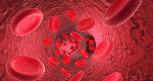 Ce este Hemofilia și care este diferența între cea de tipul A și B?