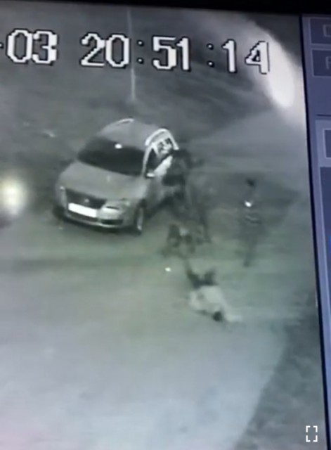SCANDAL cu REPETIȚIE pe STRĂZILE din MANGALIA!