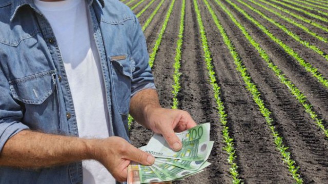 Prețul terenului arabil din România a crescut de peste trei ori în patru ani