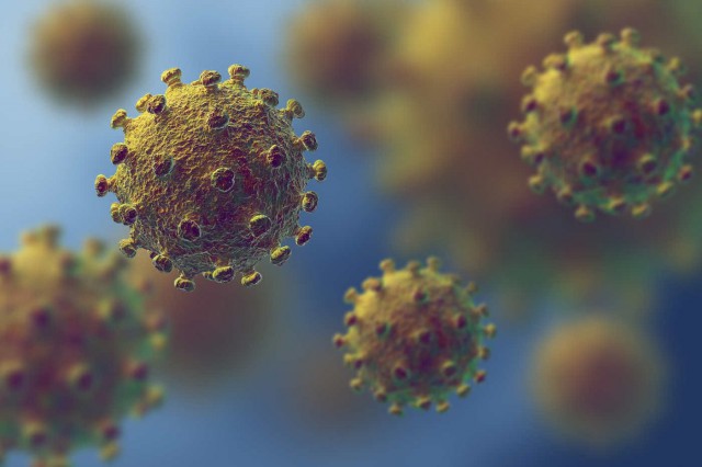 Schimbările climatice pot afecta răspândirea virusurilor?