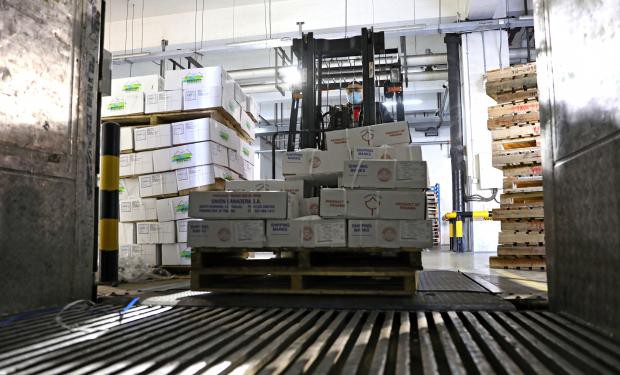 Europa caută spaţii frigorifice în care să îşi stocheze surplusul de alimente