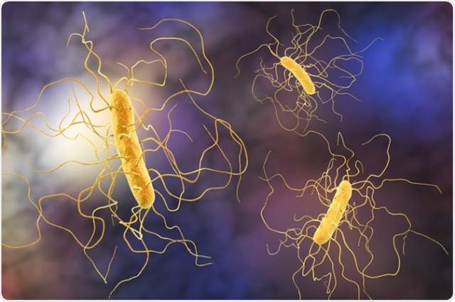 Infecția cu Clostridium difficile – Simptome, complicaţii, tratament