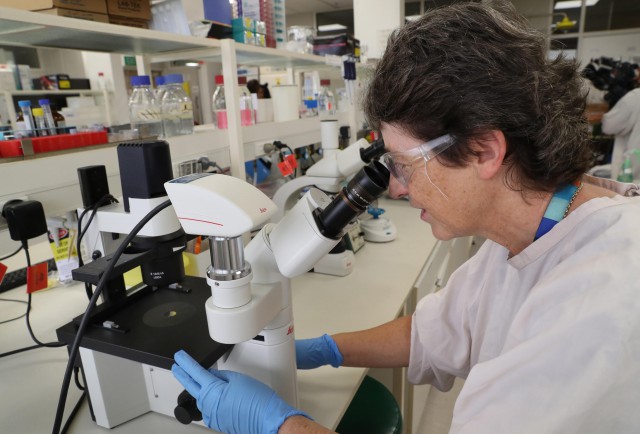 Coronavirus: Universitatea Oxford recrutează peste 10.000 de voluntari pentru testarea unui vaccin