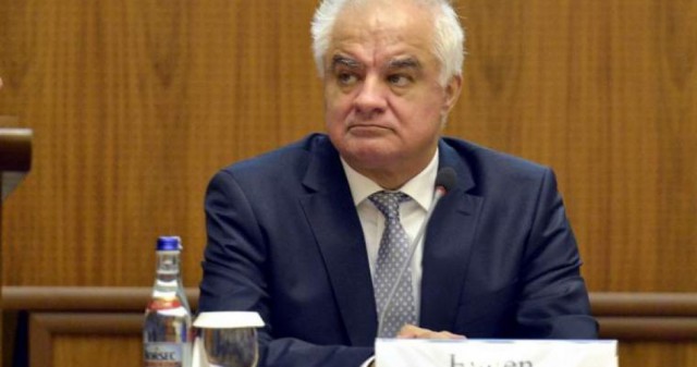 Rădulescu (BNR): Reducerea mai agresivă a ratelor de dobândă ar antrena imediat un atac asupra cursului valutar