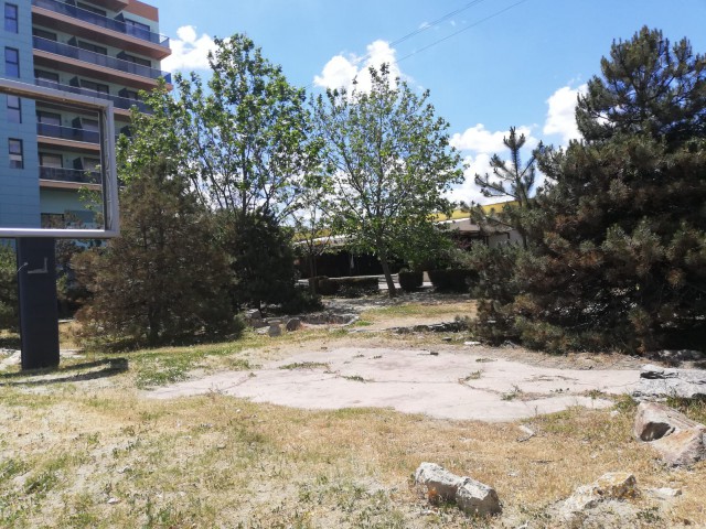 Adam de la White Beach are interdicție să construiască în Mamaia