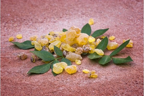 Extractul de Boswellia: proprietăți și beneficii