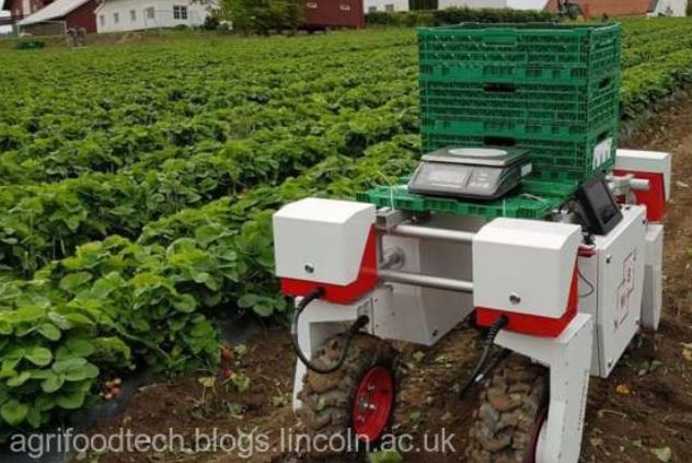 Fermierii britanici testează roboţi care să culeagă fructe din cauza lipsei de mână de lucru