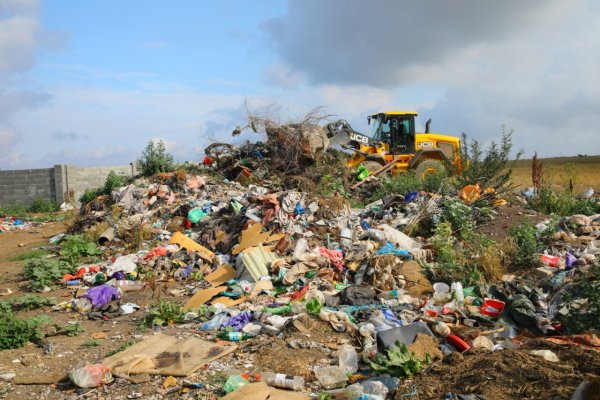 Primăria și Partida Romilor, UMĂR la UMĂR la CURĂȚENIA de VARĂ