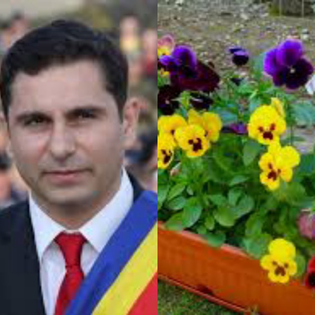 PRIMĂRIA Murfatlar ARUNCĂ 20.000 de euro pe PANSELUȚE